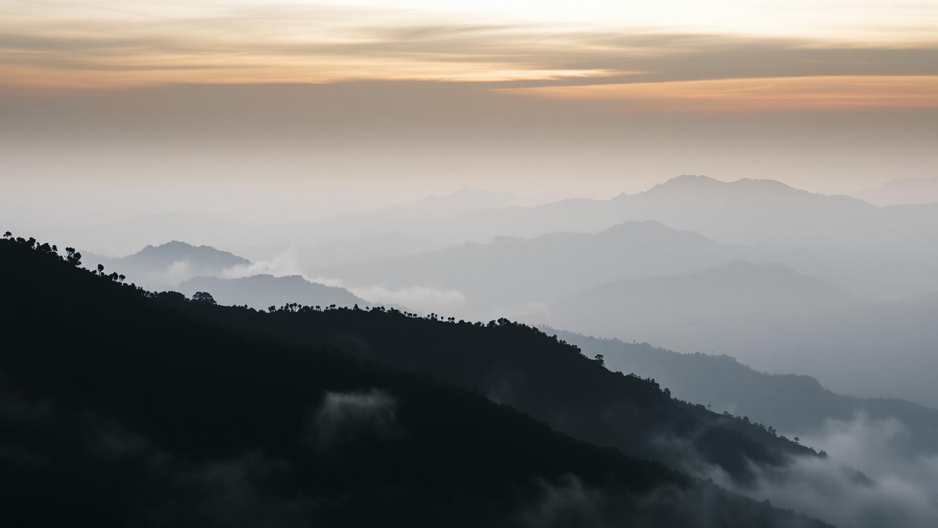 Valley fog at dawn